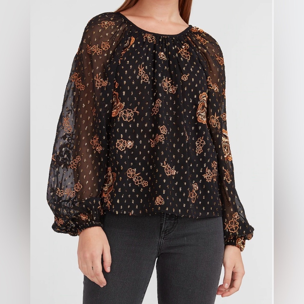 Express Balloon Sleeve Metallic Embroidered Blouse